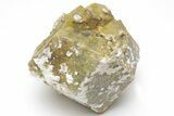 Yellow, Andradite-Grossular Mali Garnet Cluster - Kayes Region #216836-1